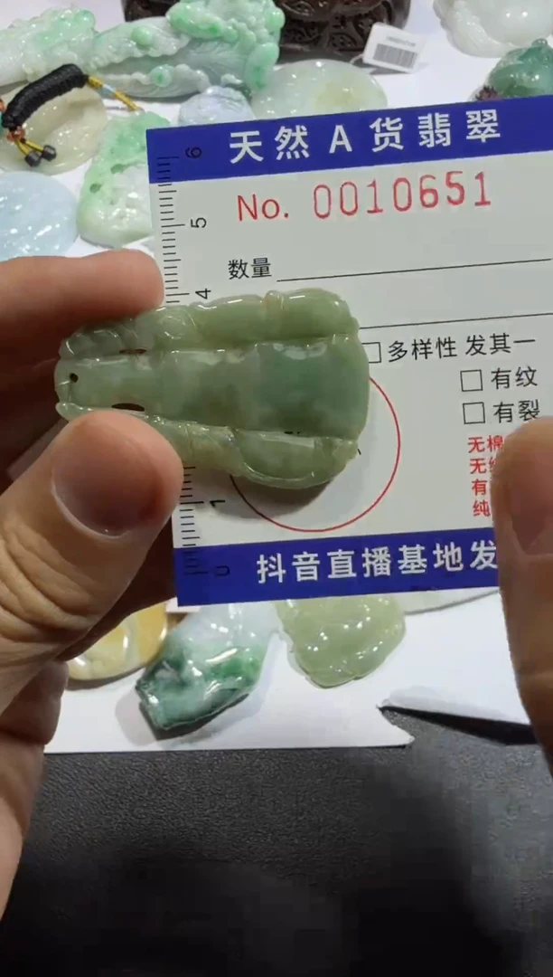 【闪购商品】翡翠颈饰未镶嵌00010651