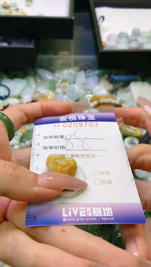 翡翠未镶嵌颈饰闪购0209703