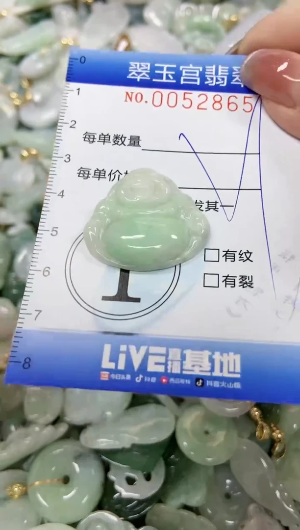 【闪购商品】翡翠颈饰未镶嵌闪购0052865