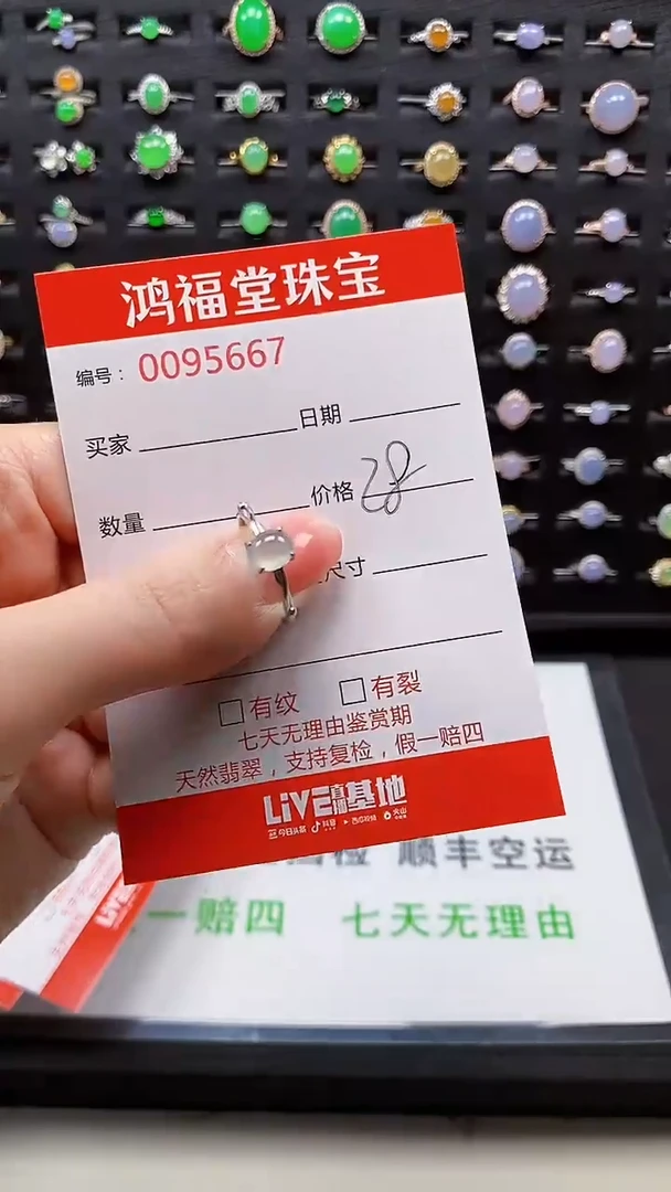 【闪购商品】翡翠戒指银S925镶嵌5667