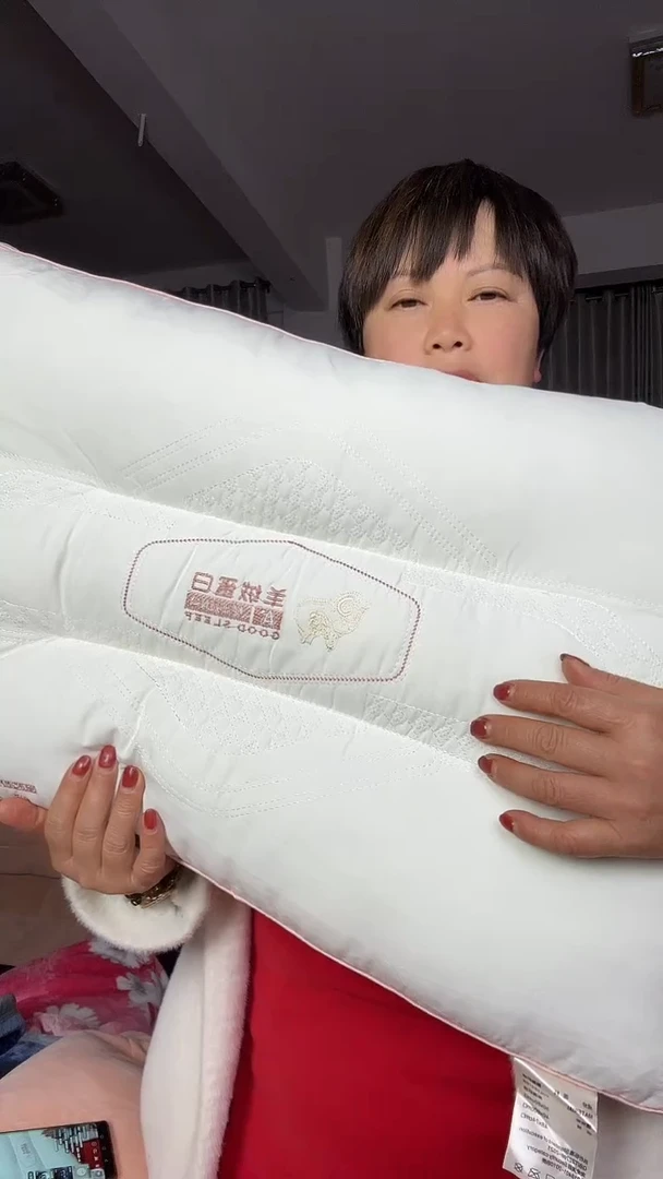 聚酯纤维48*75cm羊绒蛋白枕芯米白