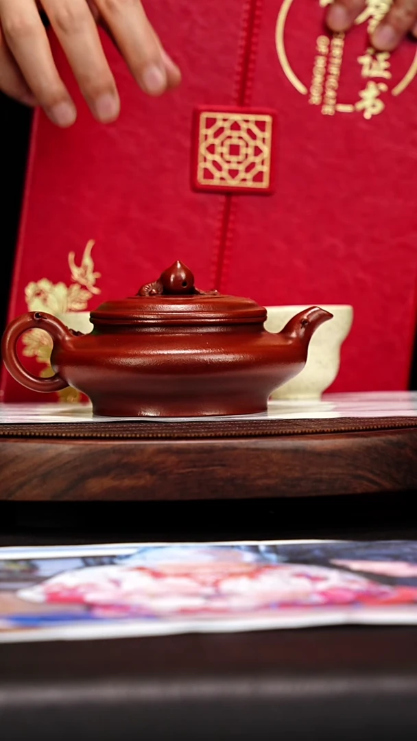 宜兴原矿高端紫砂 龙山朱S320cc