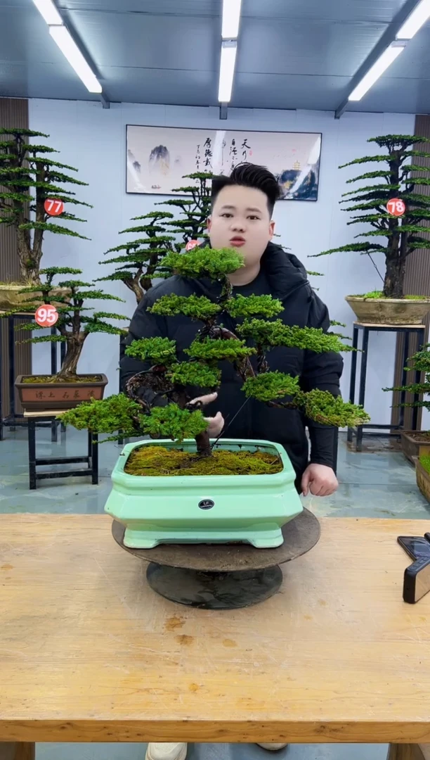 以实际为准000000000