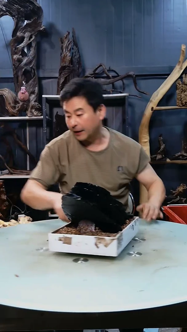 994清香阁清香阁清香阁