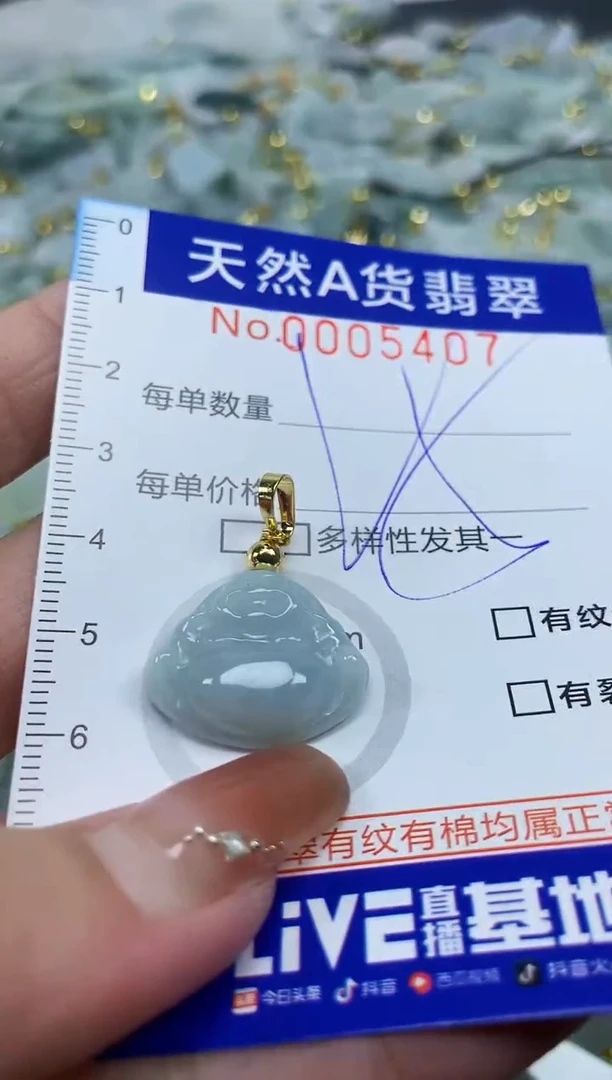 颈饰未镶嵌翡翠天然A货翡翠