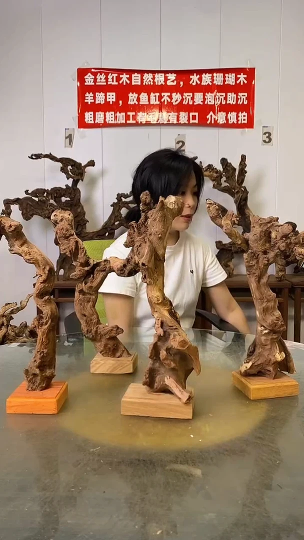 香榧木木**生金丝红木 羊蹄甲