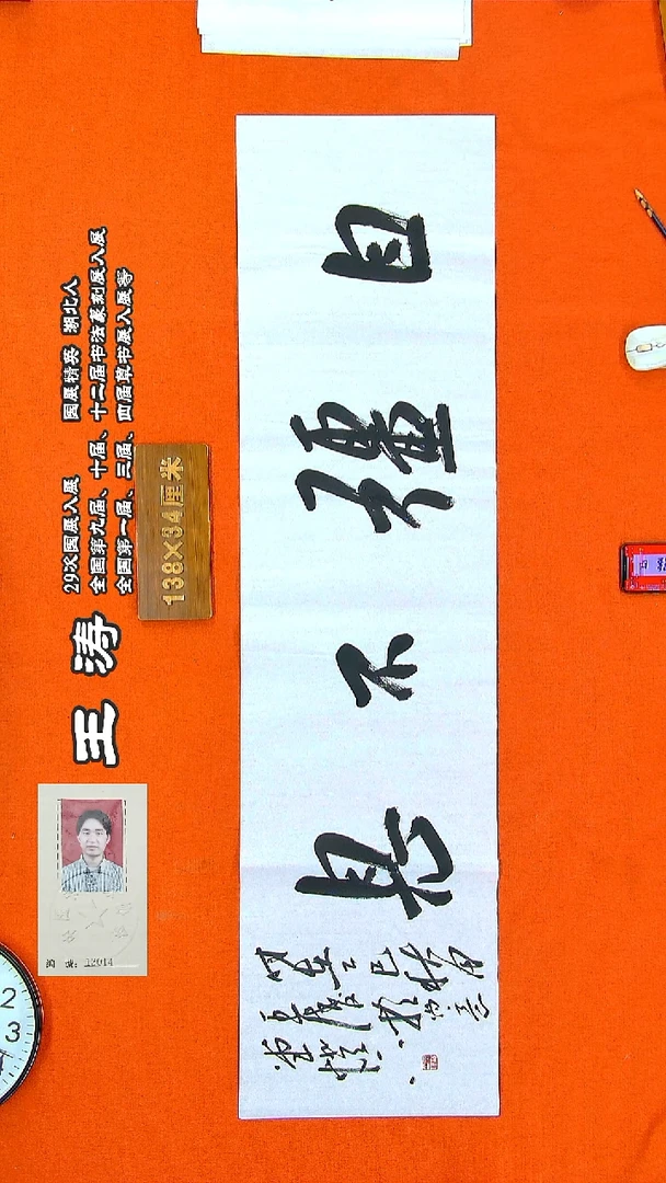 书法69a王涛书法作品