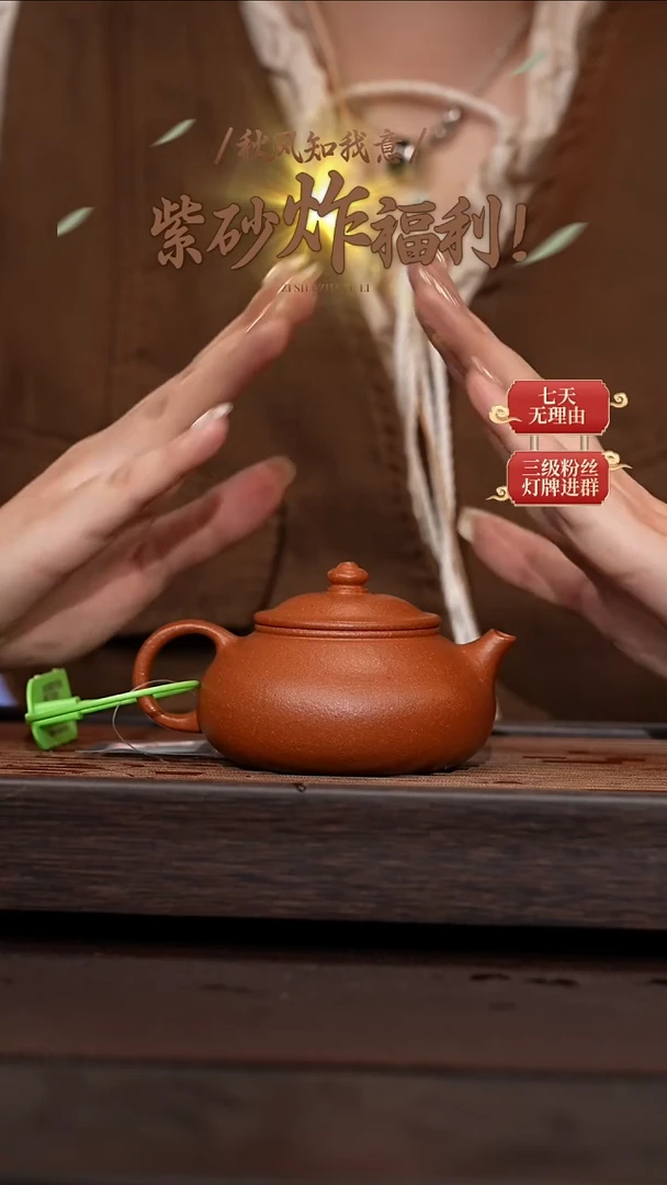 茶壶紫砂寒江（光素）160CC