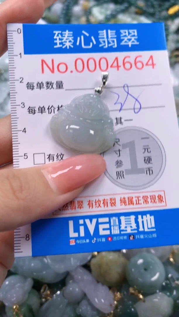翡翠未镶嵌颈饰4664