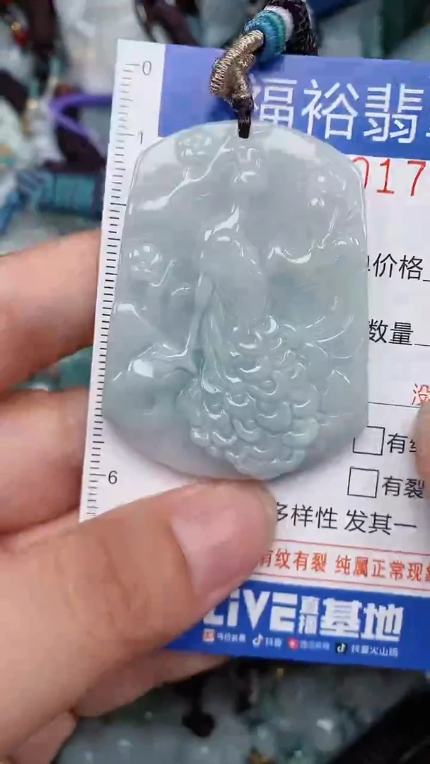 翡翠未镶嵌颈饰...0000179