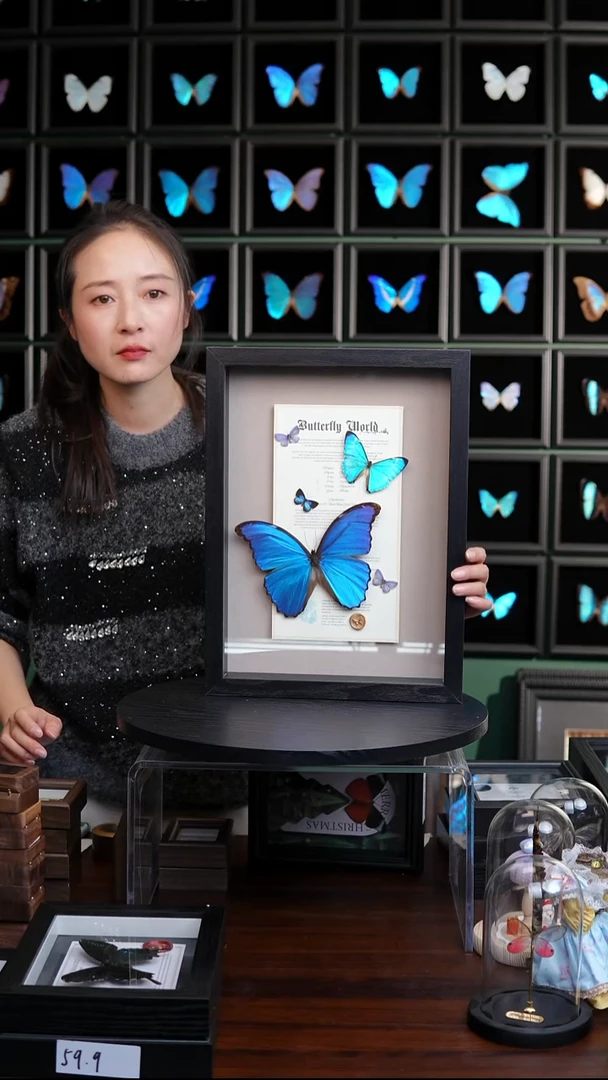 西风闪蝶+大蓝闪组合