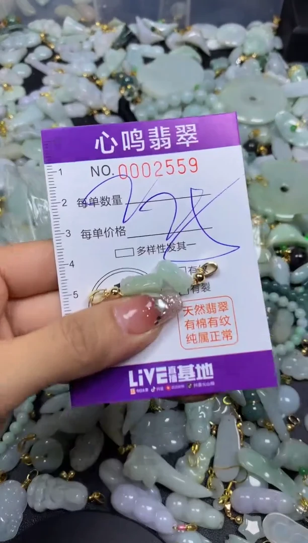 【闪购商品】翡翠颈饰未镶嵌闪购002559