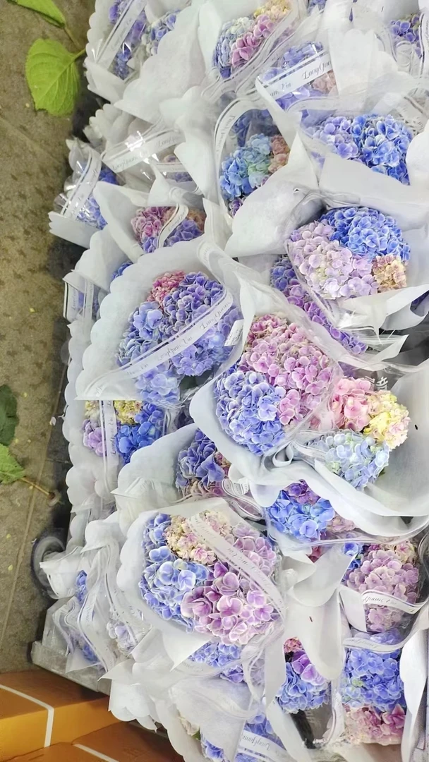 两单包邮！稀有【绣球组合】