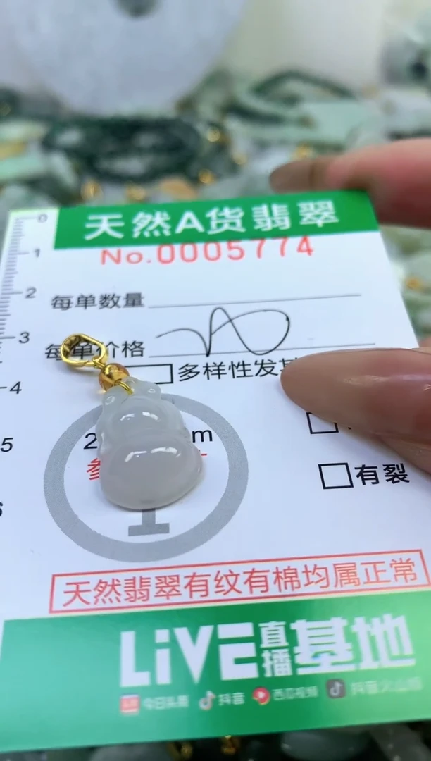 颈饰未镶嵌翡翠天然A货翡翠