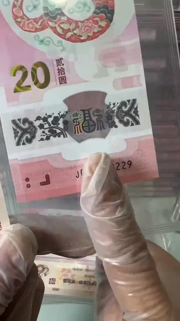 【闪购商品】塑料蛇钞单张！-028060229