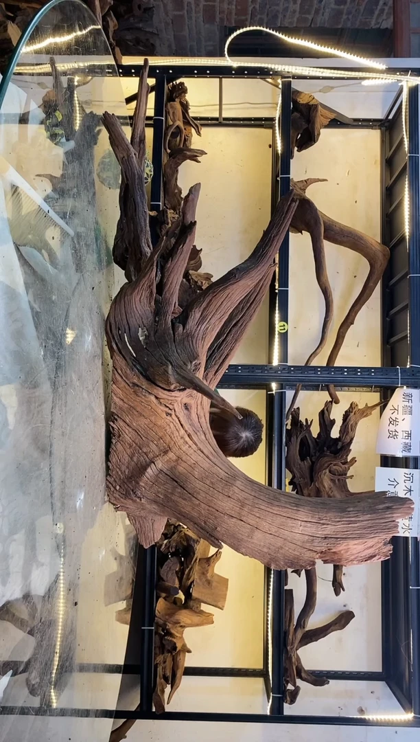 【闪购商品】柚木木艺鱼缸造景沉木181