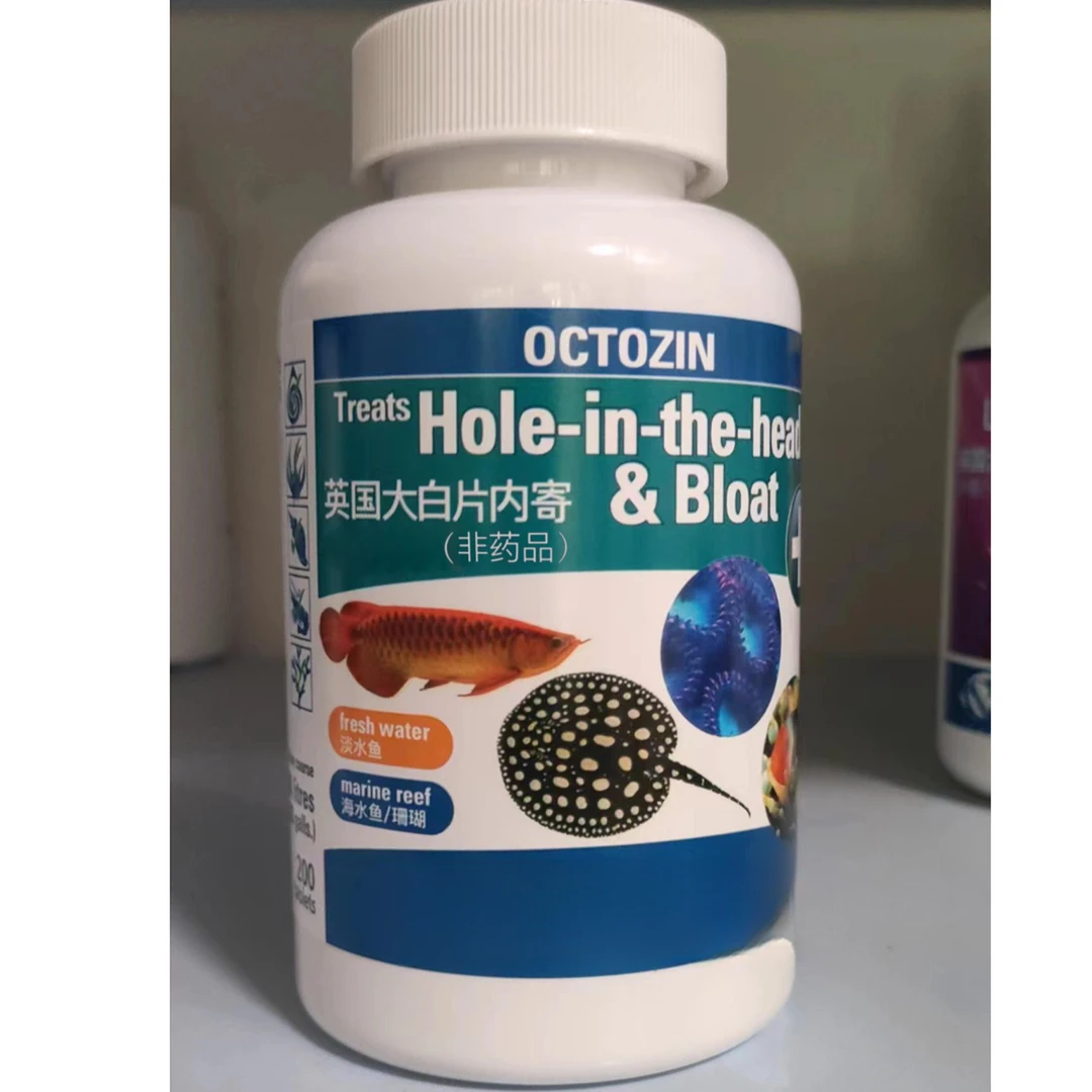 英国正品大白片金龙鱼魟热带锦鲤内寄外寄调理