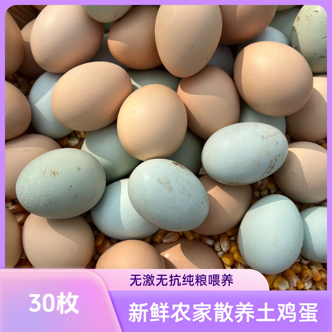 30枚核桃树林生态散养土鸡蛋新鲜土鸡蛋健康土鸡蛋