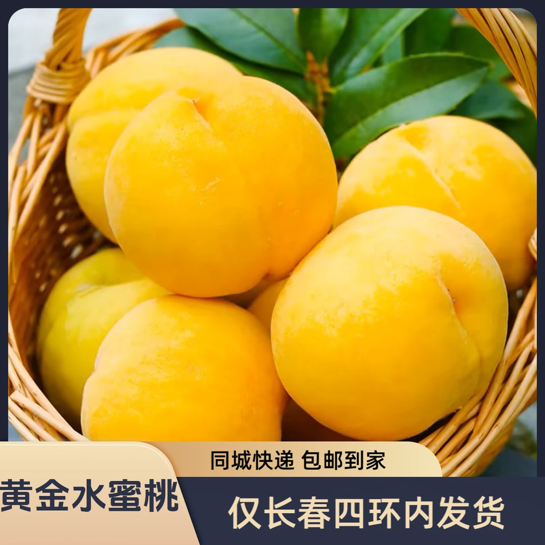 【仅长春四环内】黄金水蜜桃12-15个果~色香味浓又如意~放软爆汁！