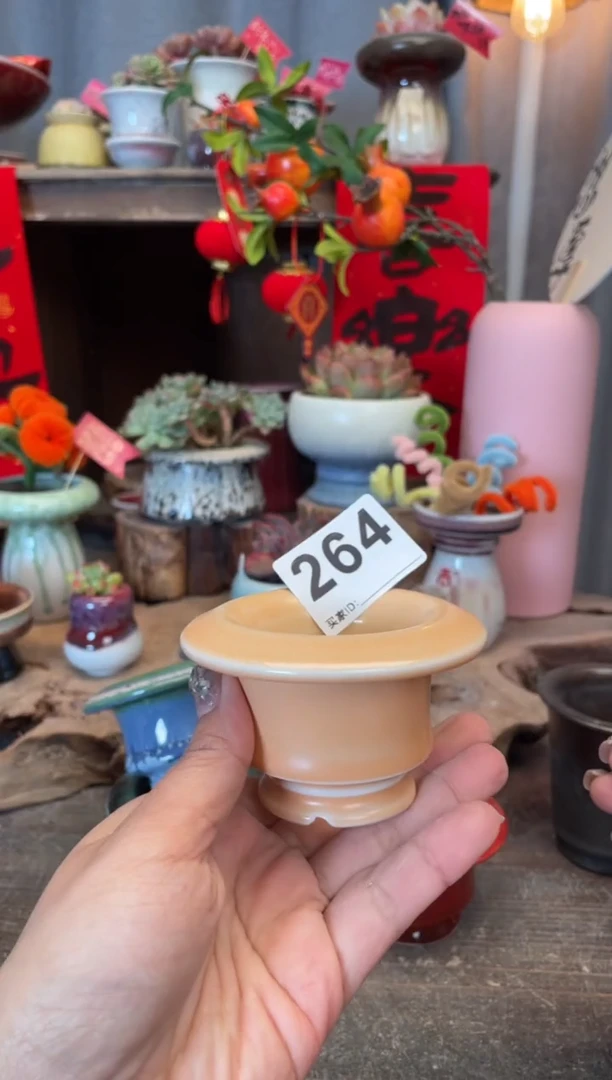 【闪购商品】摆件264知木小芳花盆