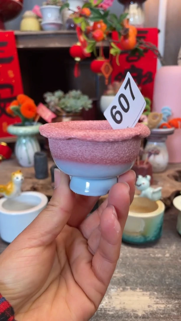 【闪购商品】摆件607知木小芳花盆