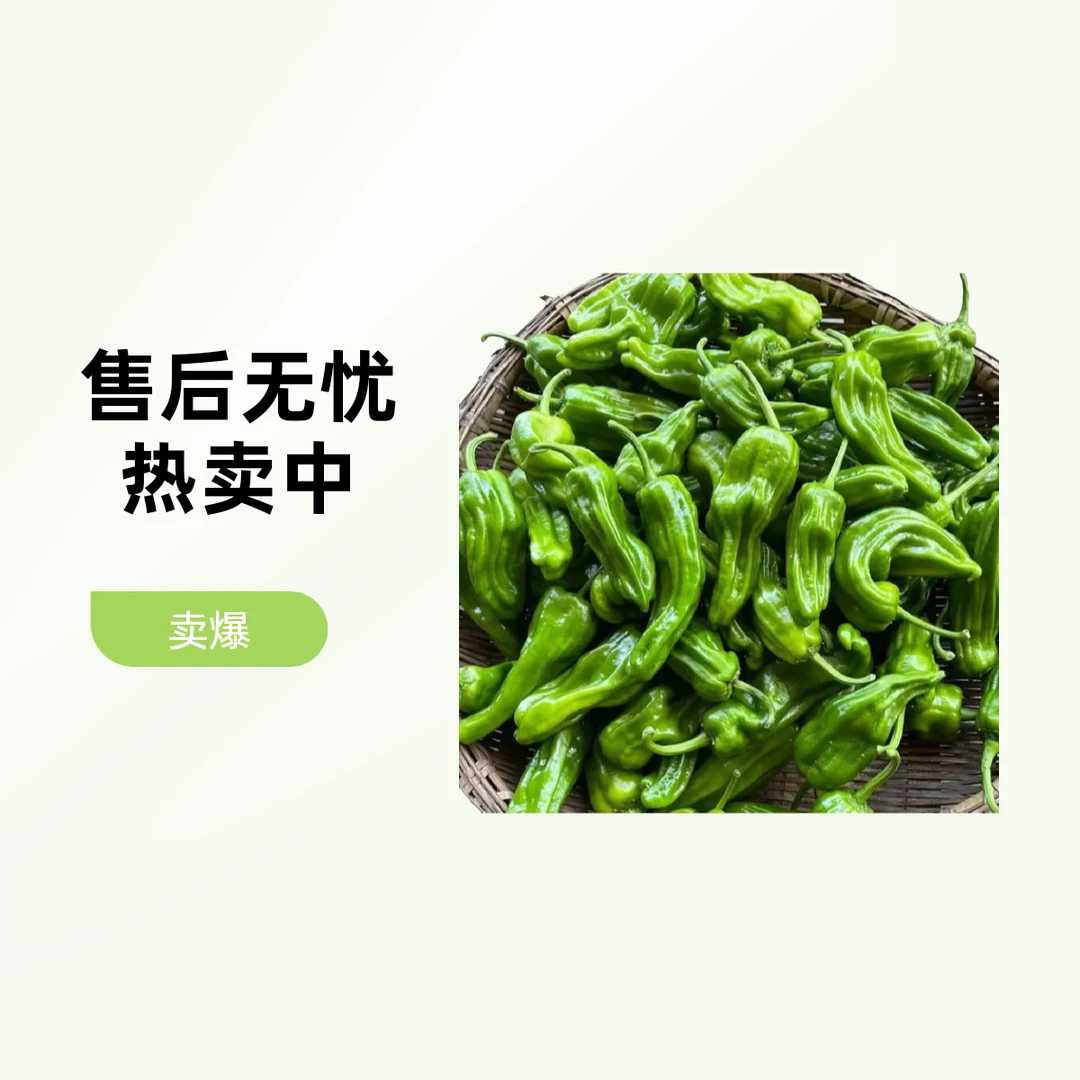 新鲜直供大薄皮椒