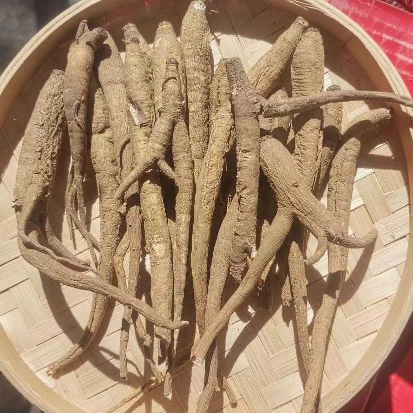 【阿丹臻品】藏当归 农家土特产