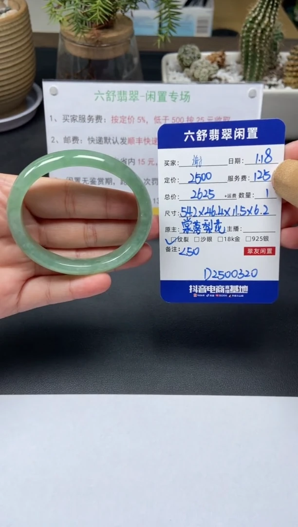 【闪购商品】翡翠手镯未镶嵌D2500320