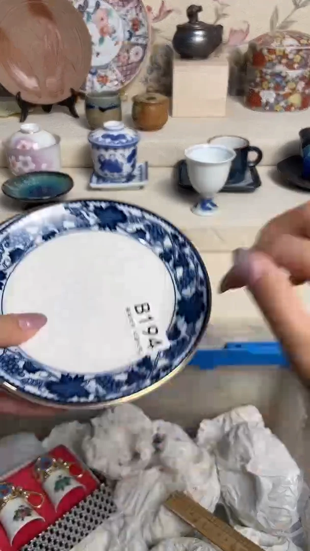 陶瓷瓷片    B194