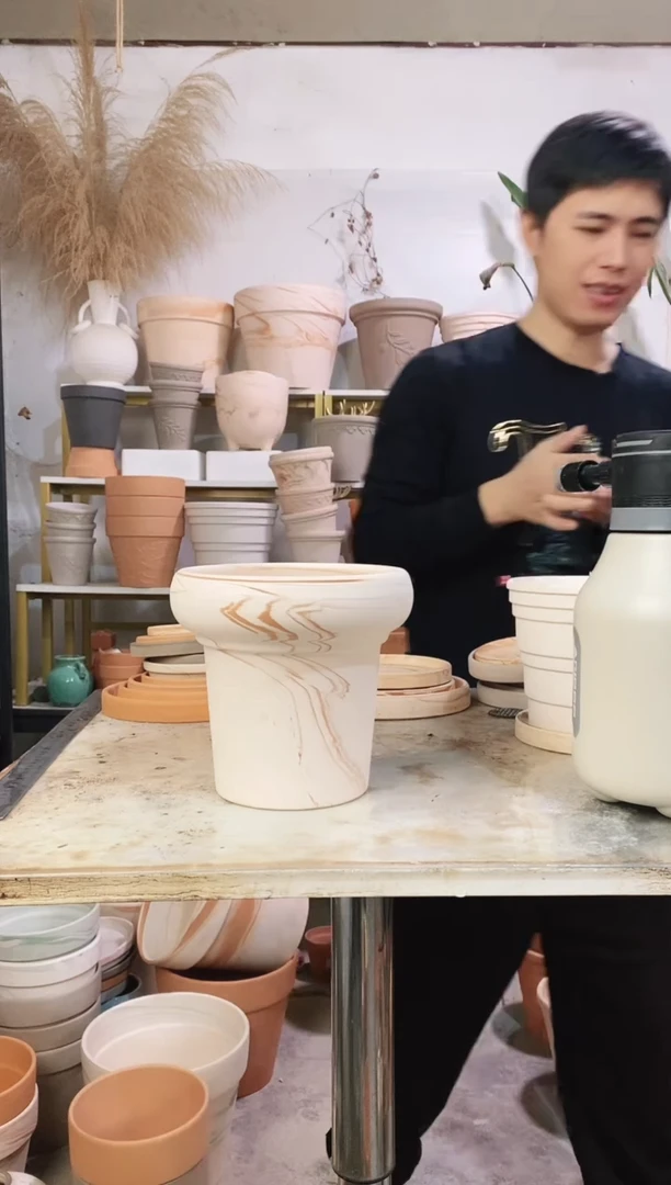 18*17玛奇朵蘑菇 1盆无托