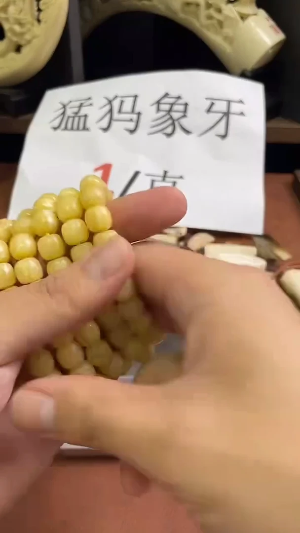 猛犸社会牛10*9老型单圈