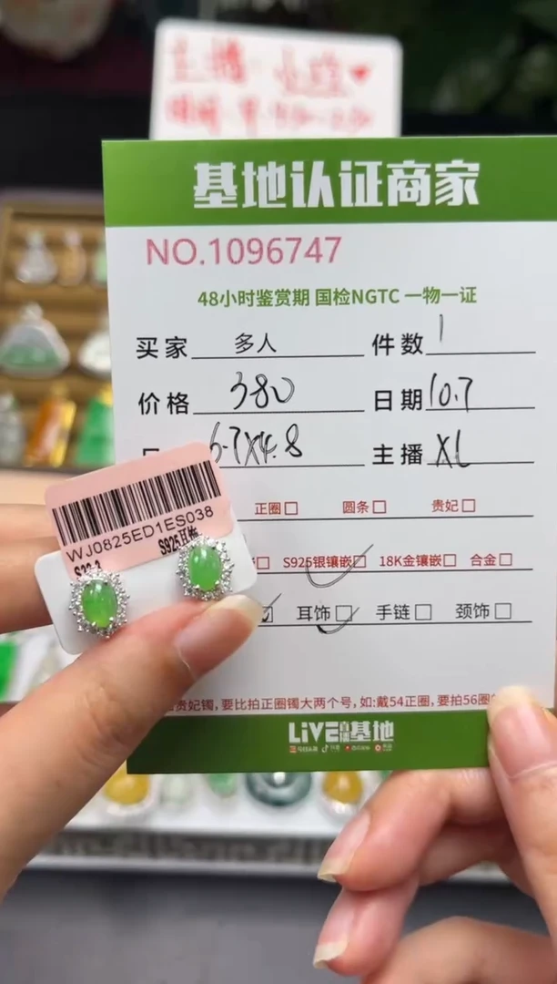 银S925镶嵌翡翠耳饰多人