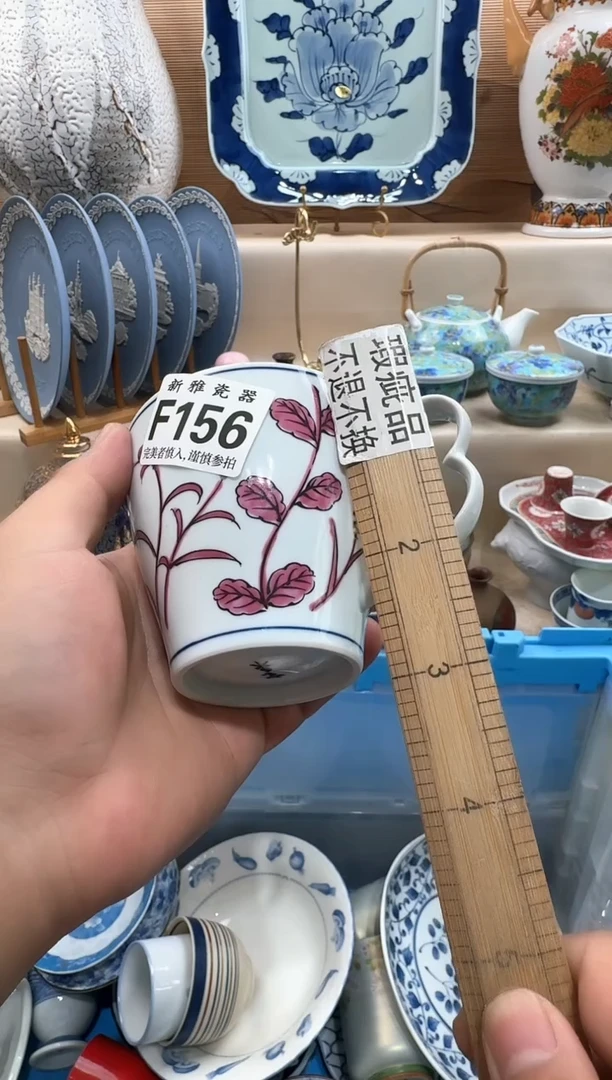 瓷片2*        F156