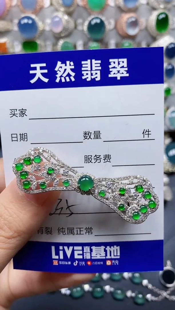 翡翠银S925镶嵌颈饰240