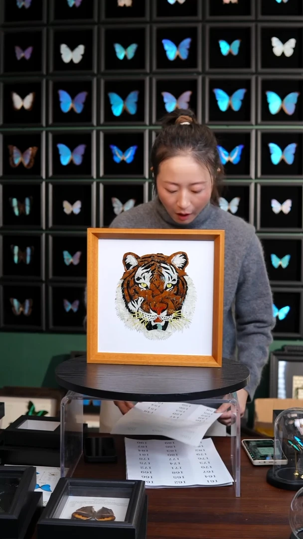 蝴蝶翅膀蝶翅画竞拍I46