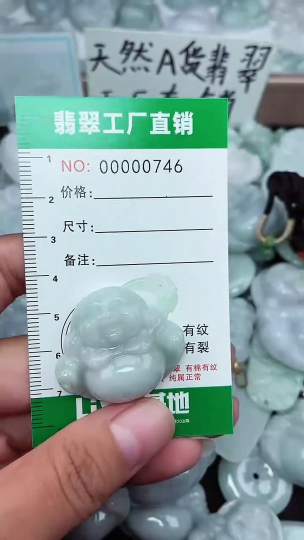 颈饰未镶嵌翡翠缅甸天然翡翠拍一发一0746