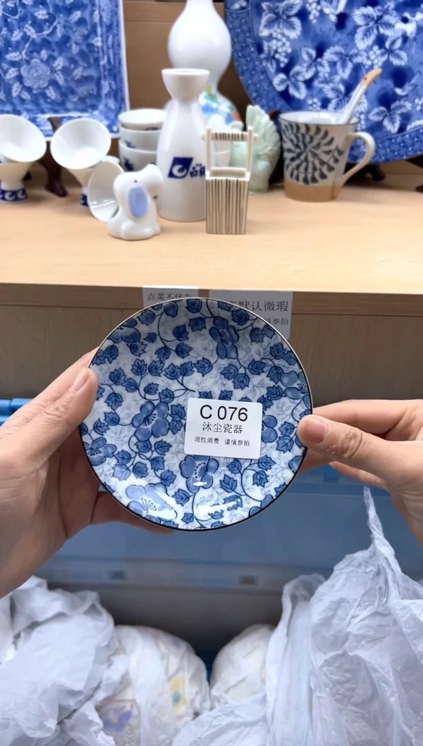 瓷片          C076