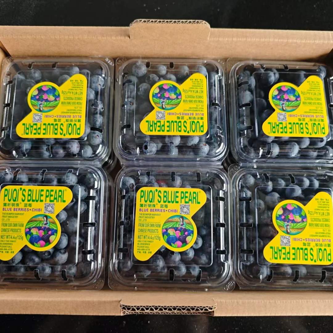 大丰收果业有机种植蓝莓当季水果现采现摘