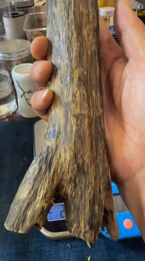 【闪购商品】沉香摆件棋楠母树虫漏块料171克