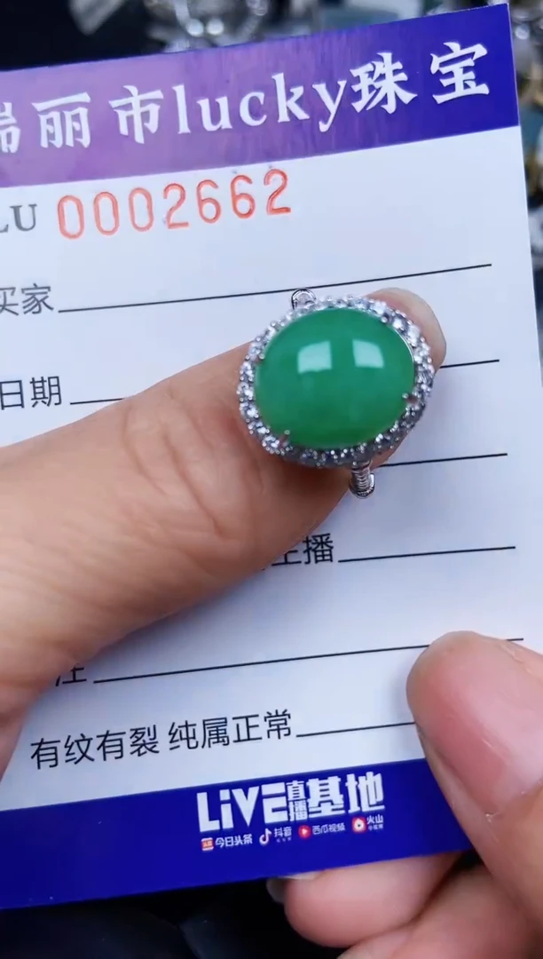 翡翠银S925镶嵌颈饰2662