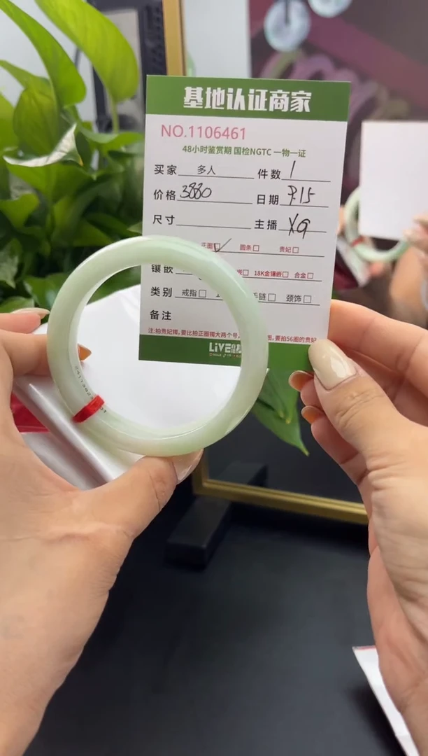 未镶嵌手镯翡翠多样性拍一发一
