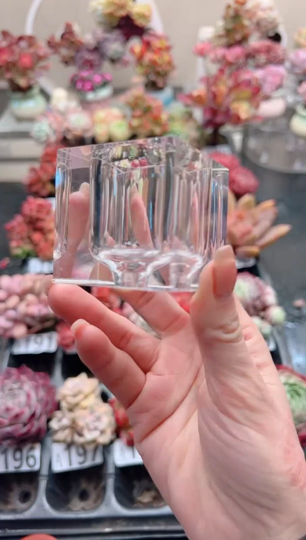 【闪购商品】水晶杯杯一个