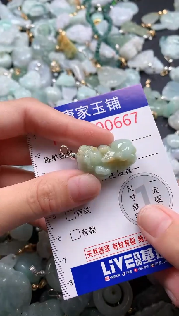 翡翠未镶嵌吊坠(不含链)667