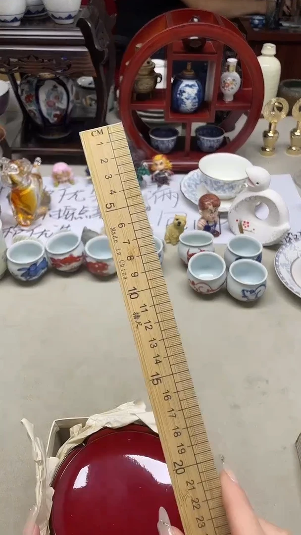 瓷片新人主播  点点关注