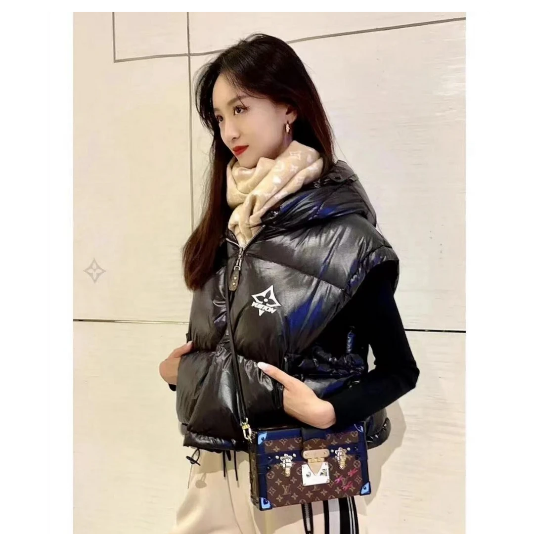 全新未使用 LouisVuitton/路易威登 双双臻选/cc00028/LV羽绒马甲