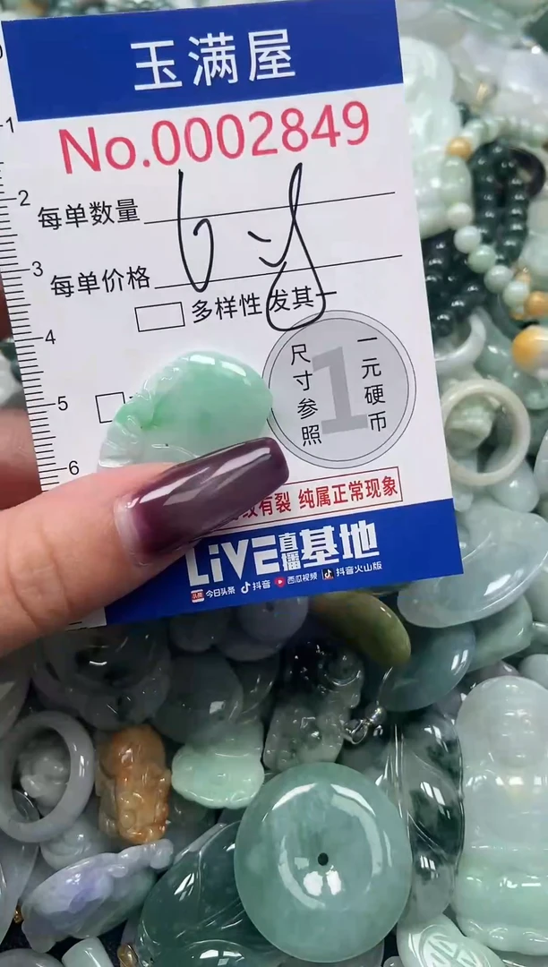 颈饰未镶嵌翡翠2849