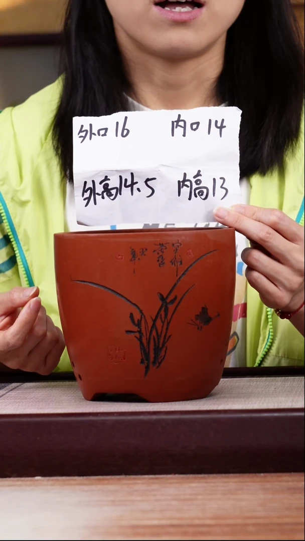 紫砂花盆清水泥君子兰2号一只带托