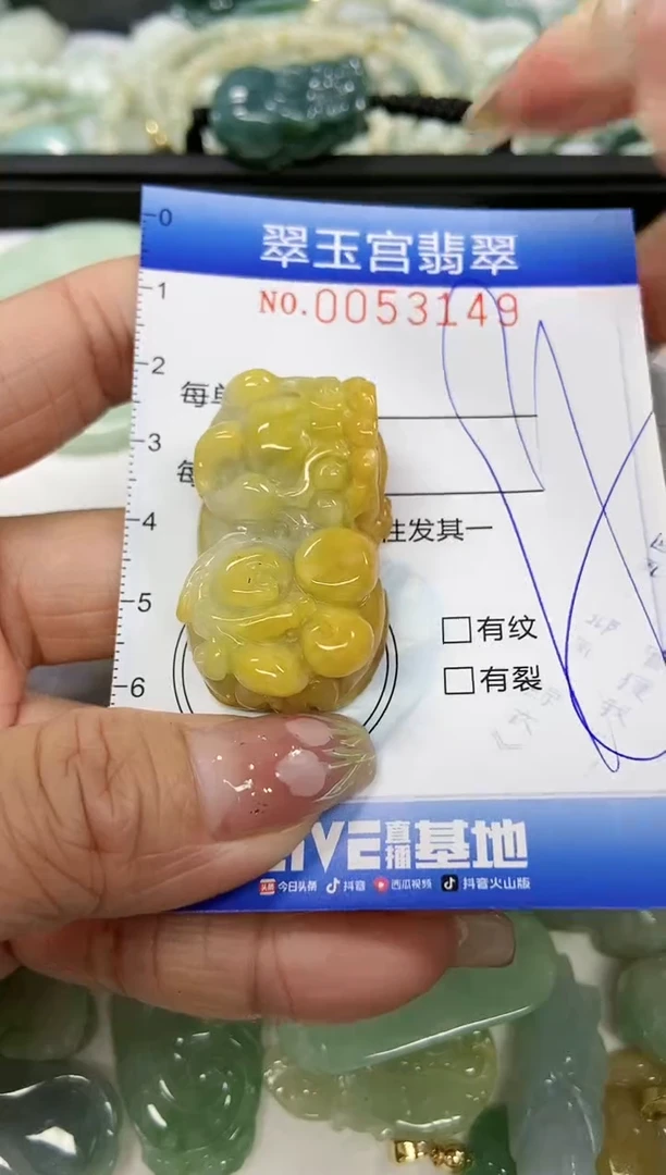 【闪购商品】翡翠颈饰未镶嵌闪购0053149