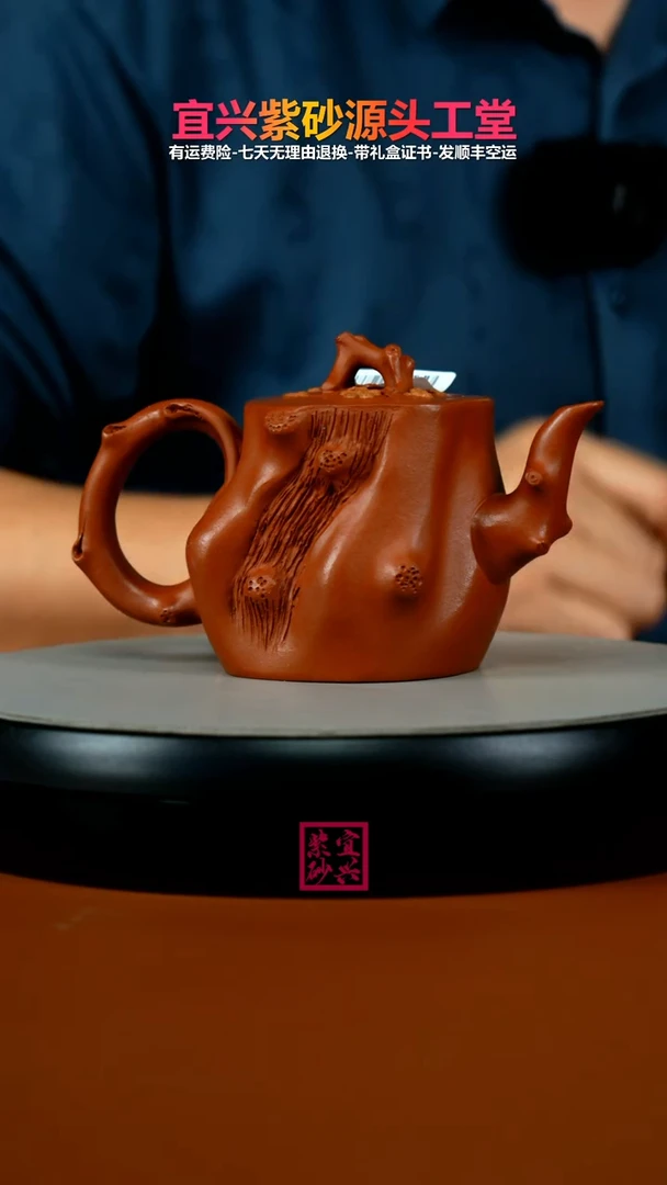 茶壶紫砂蒋静明朱泥梅花树桩270cc