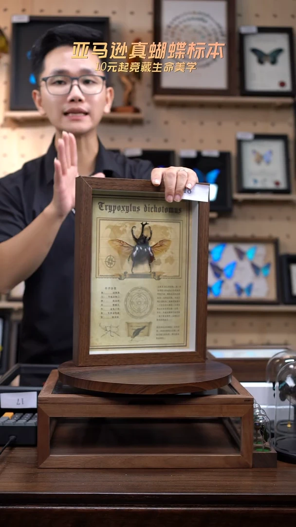 独角仙复古版A4复古框